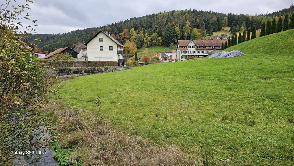 42 Ausblick vom Garten